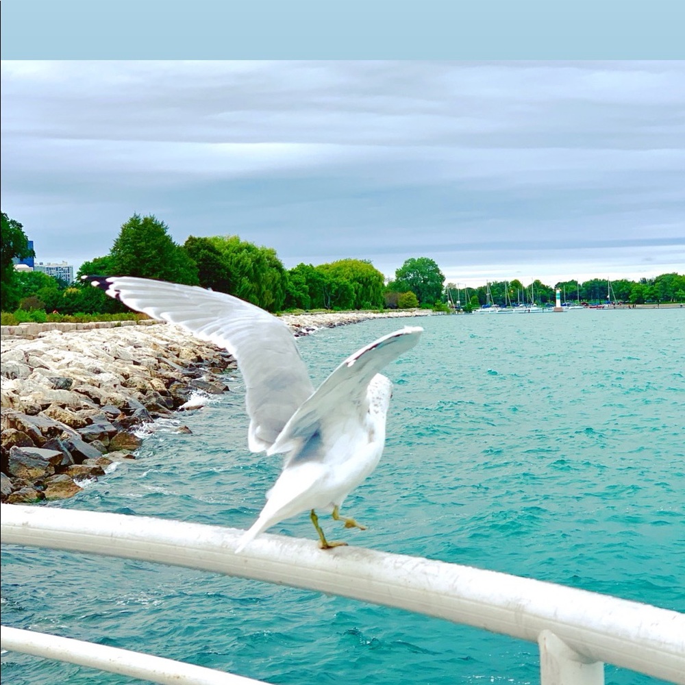 Meet your Posher, Sidra